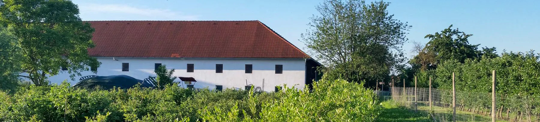 Der Obsthof Kamptner